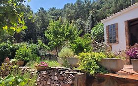 Trocito de Paraíso en la Sierra Espadán
